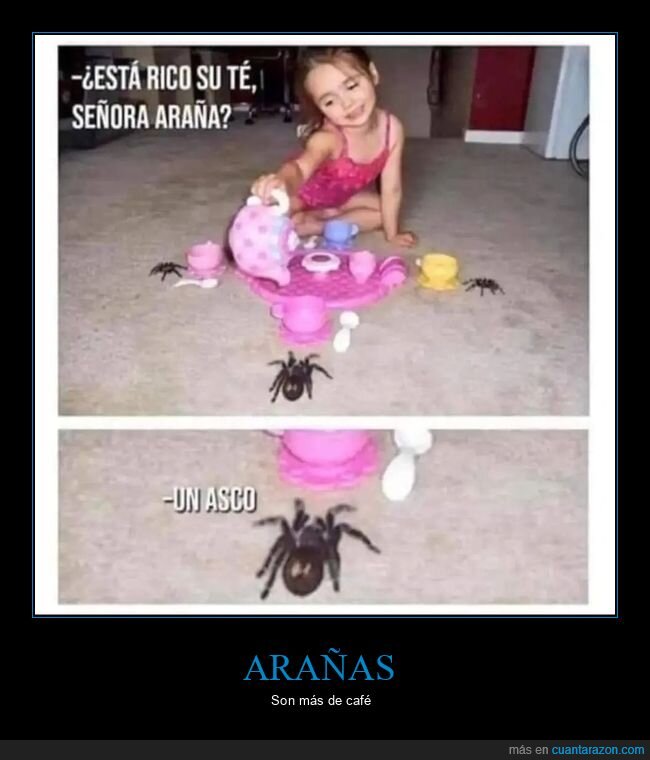 arañas,asco,niña,té,wtf