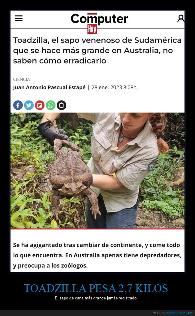 toadzilla,sapo,sudamérica,australia,gigante