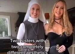 Enlace a Gemelas pero muy diferentes