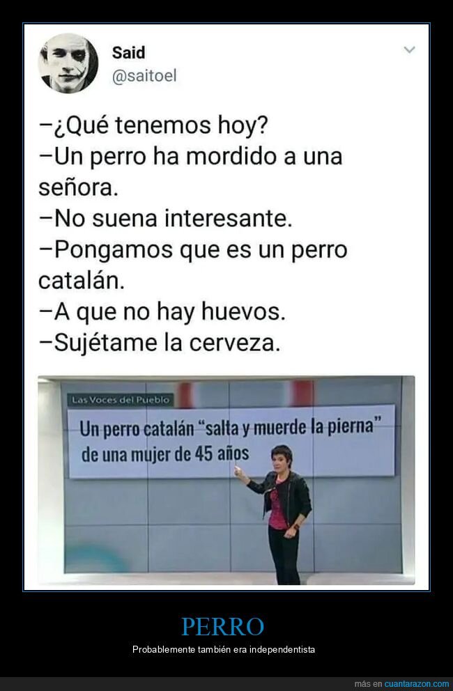 catalán,morder,perros