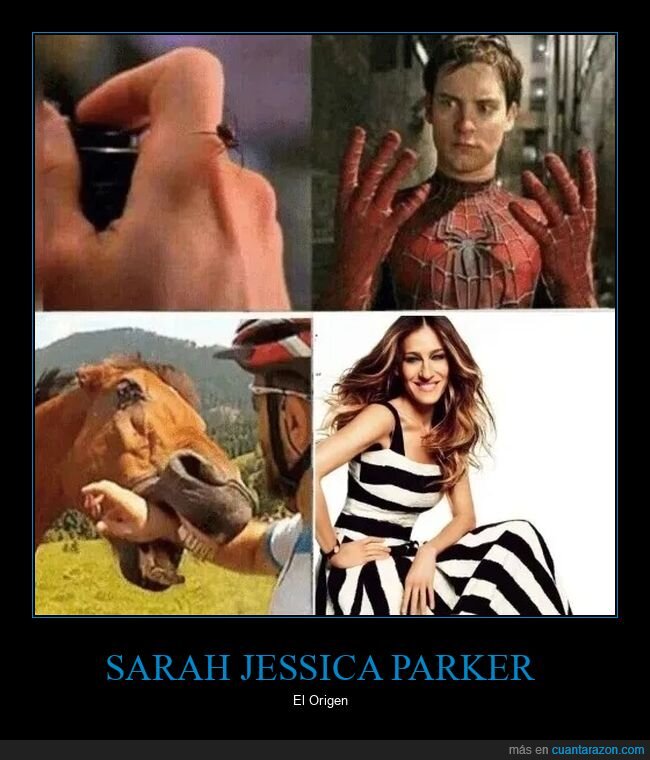 araña,caballo,mordedura,picadura,sarah jessica parker,spiderman