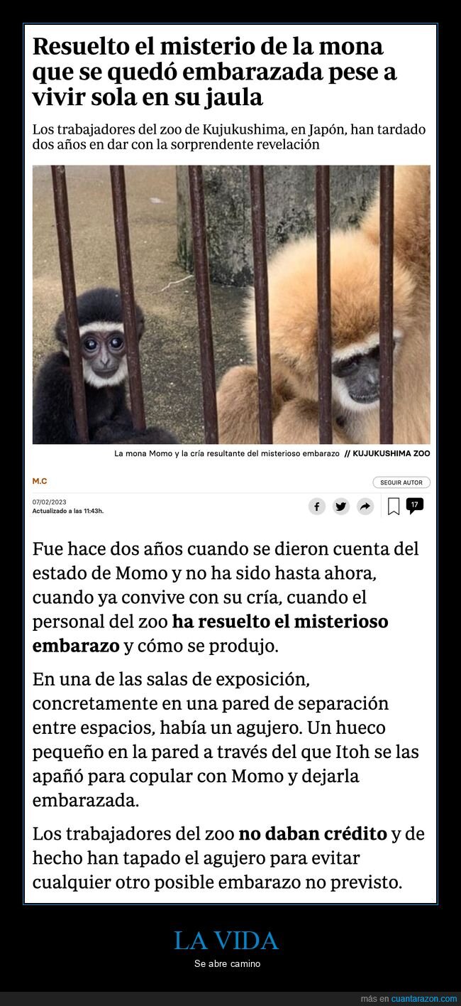 mona,embarazada,misterio