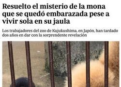 Enlace a Un embarazo misterioso que ya tiene explicación