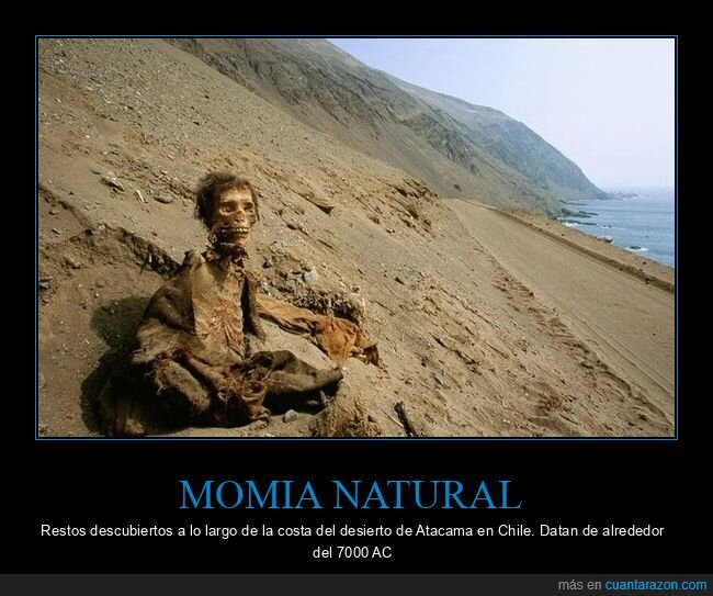 curiosidades,desierto de atacama,momia