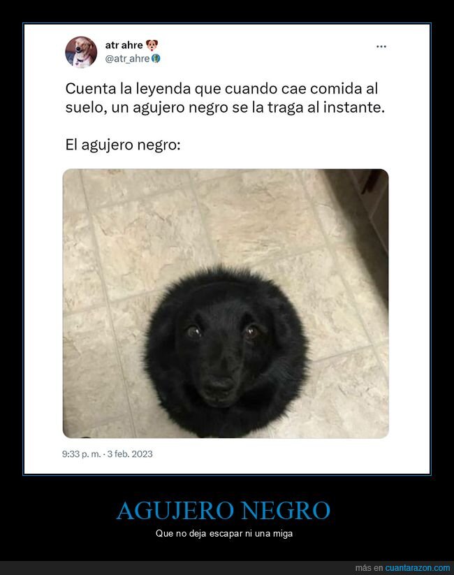 perro,comida,agujero negro