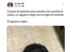 Enlace a Agujero negro de comida