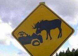 Enlace a Más de uno podría tomarse esta señal como un reto