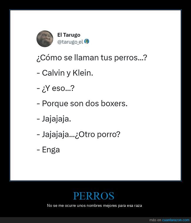 perros,nombres,calvin klein,boxers