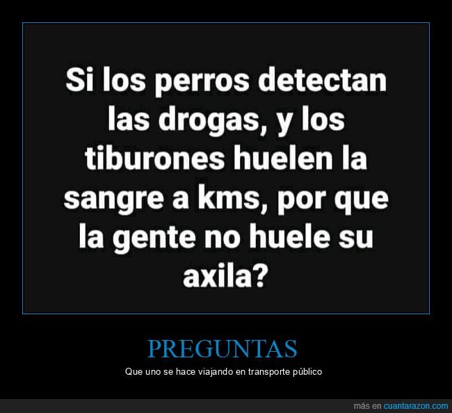 perros,drogas,tiburones,oler,axila