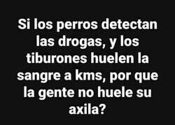 Enlace a El olfato humano no da para mucho...