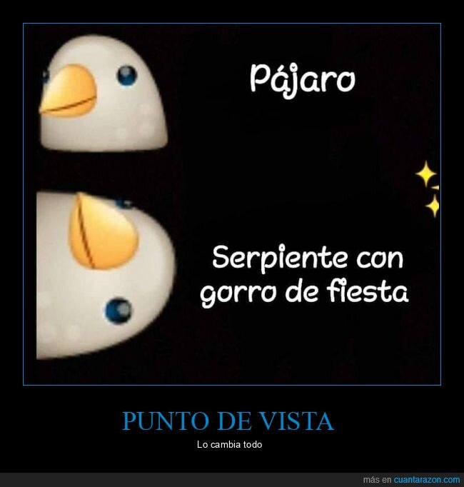 pájaro,serpiente,gorro de fiesta