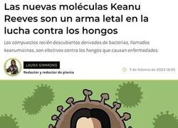Enlace a Homenaje a Keanu Reeves