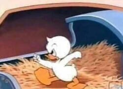 Enlace a Ya era así de nacimiento