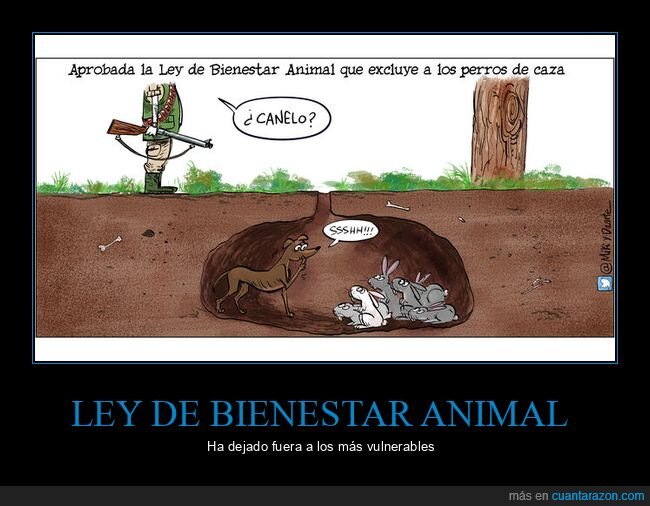 ley de bienestar animal,animales,perros de caza
