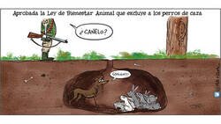 Enlace a Excluidos de la nueva ley