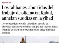 Enlace a Aburrimiento talibán