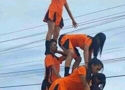 Enlace a Animador por vocación