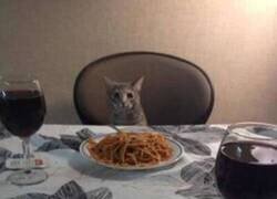 Enlace a Cena para dos