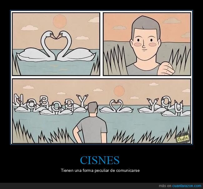 cisnes,querer