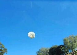 Enlace a Tras el globo chino