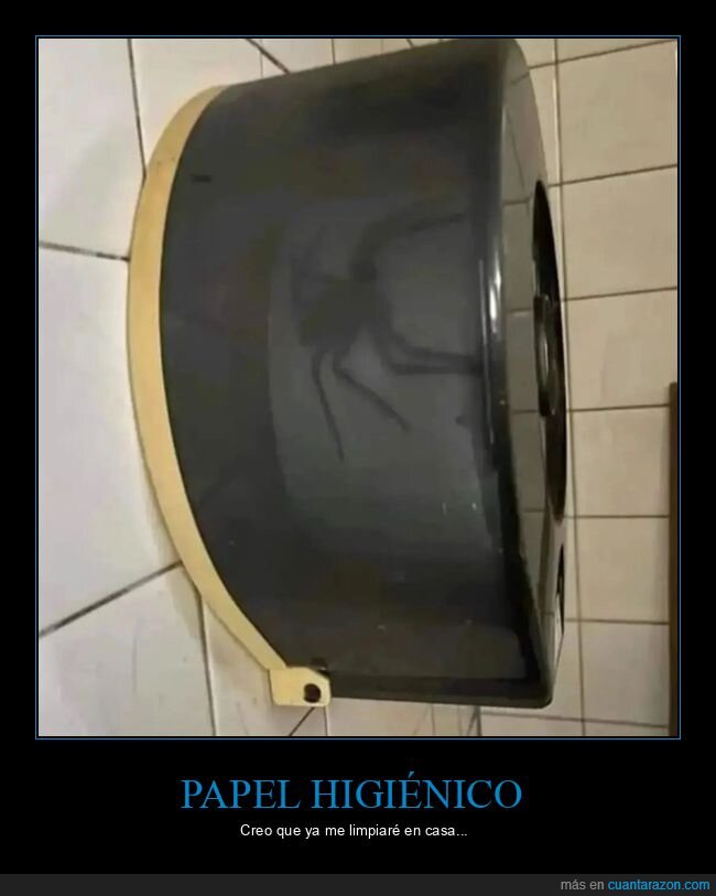 aseo,papel higiénico,araña