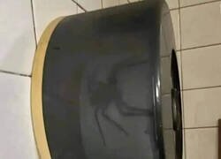 Enlace a Intruso en el baño