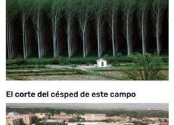 Enlace a Imágenes satisfactorias que no podrás dejar de mirar