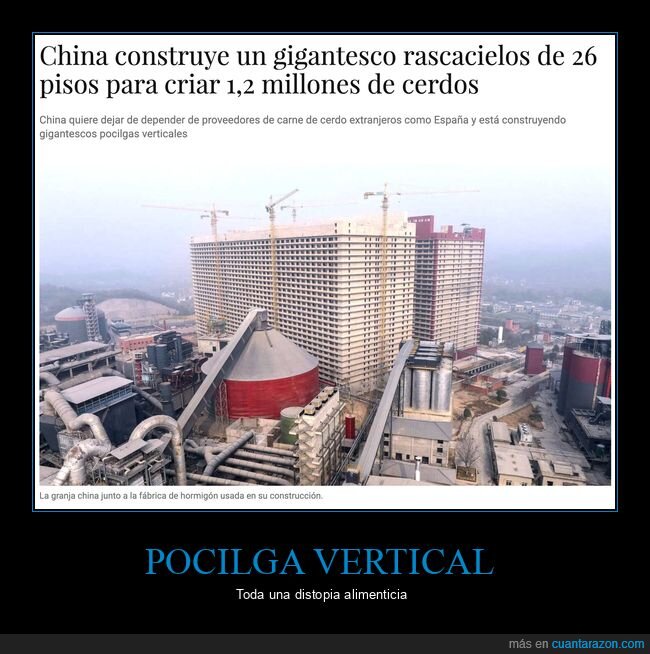 china,cerdos,pocilga,edificio