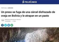 Enlace a Maestro del disfraz