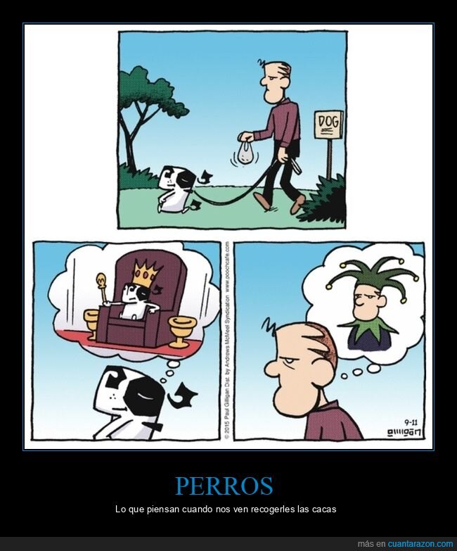 perro,recoger,cacas,rey,bufón