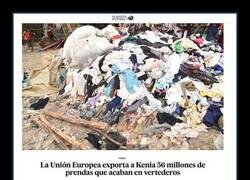 Enlace a Exportando basura