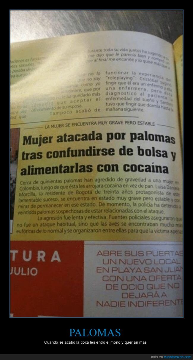 palomas,bolsa,confusión