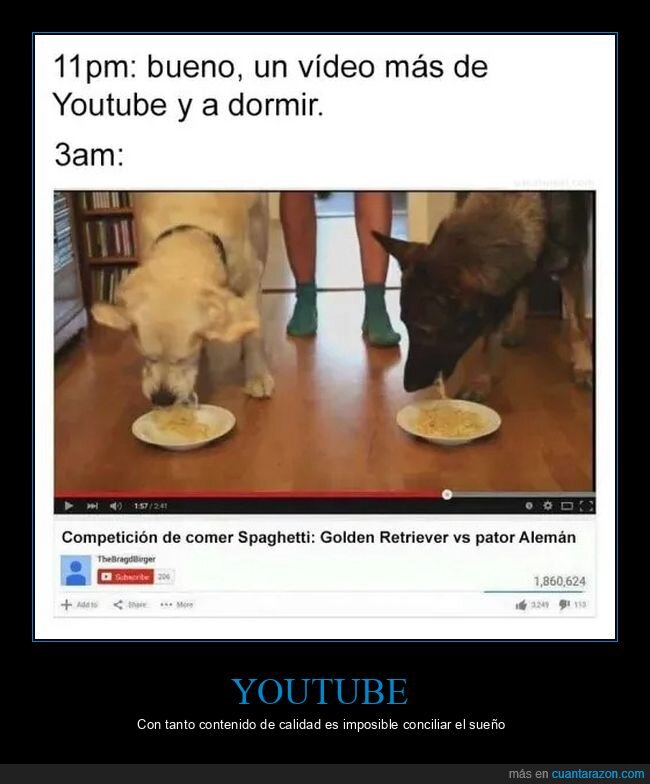 comer,competición,dormir,espagueti,perros,youtube