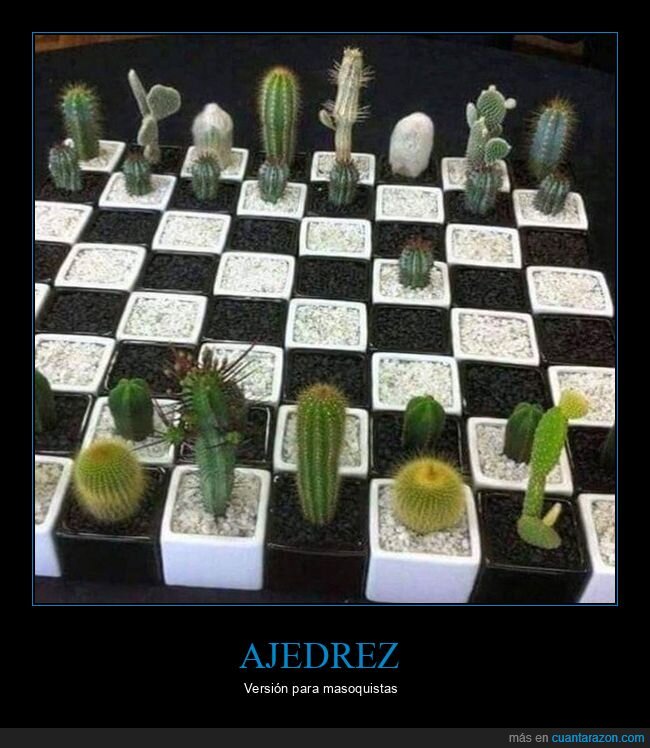 ajedrez,cactus