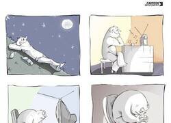 Enlace a Sumisión progresiva