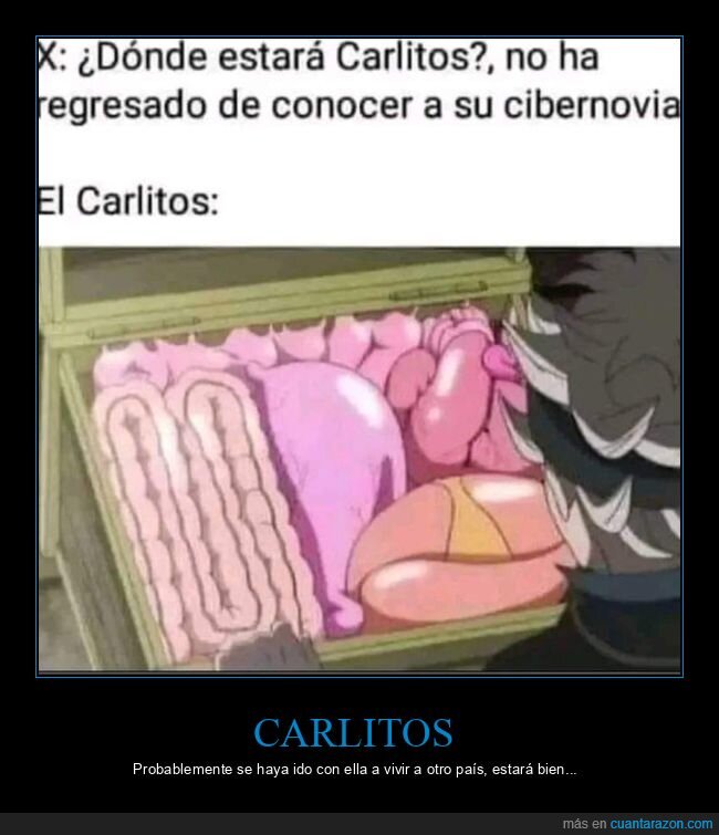cibernovia,cajón,órganos