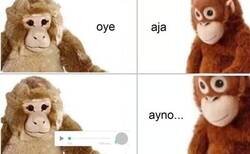 Enlace a Audio excesivo