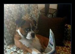 Enlace a ¿Qué horas de llegar son estas?