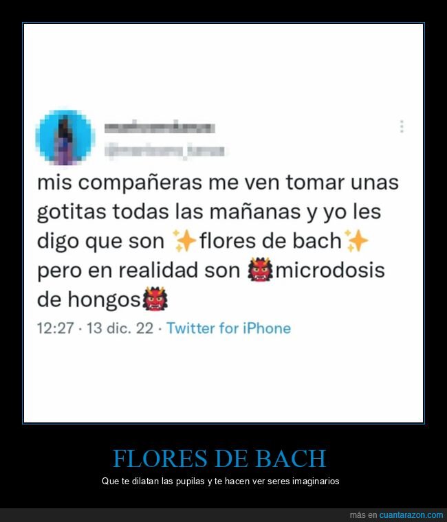 gotas,flores de bach,hongos