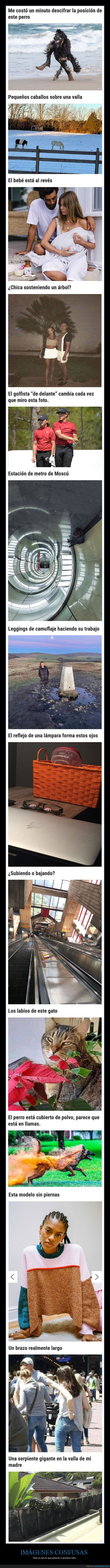 imágenes confusas,mindfuck,wtf