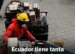 Enlace a Reciclando lo incautado