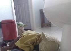 Enlace a Trauma infantil