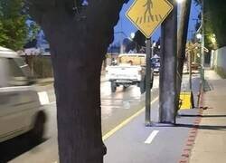 Enlace a Una ciudad amigable para los ciclistas