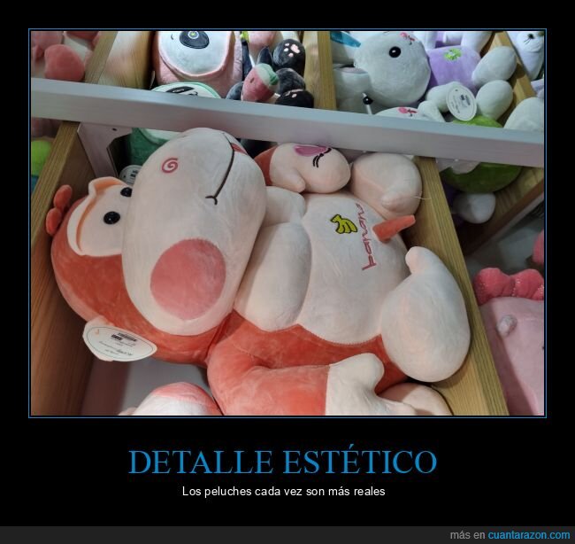 peluche,wtf
