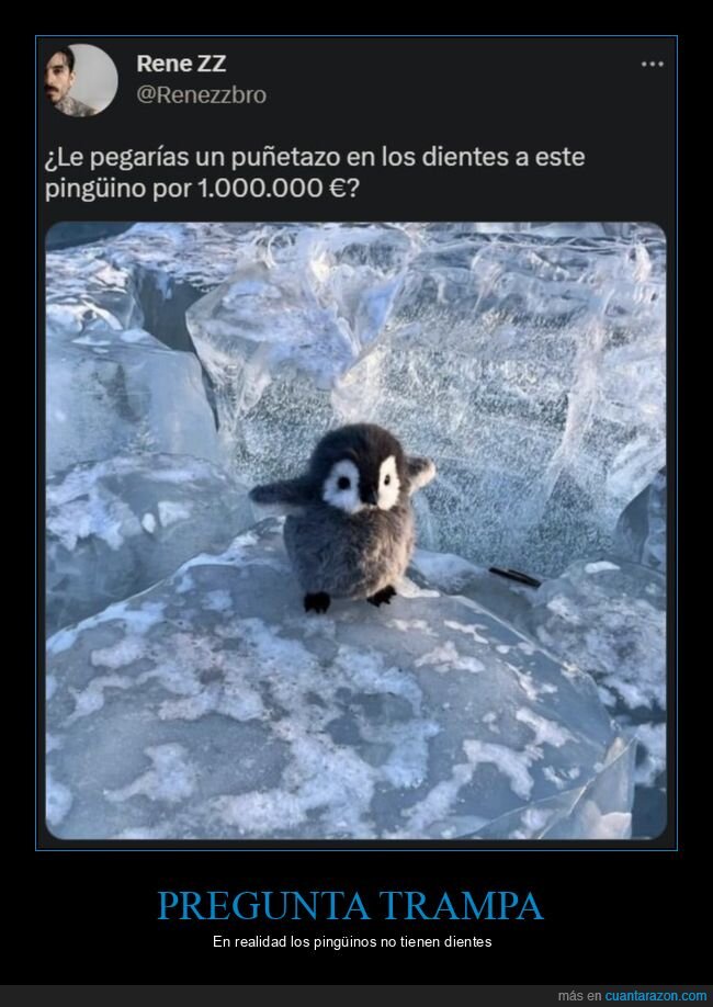 puñetazo,dientes,pingüino