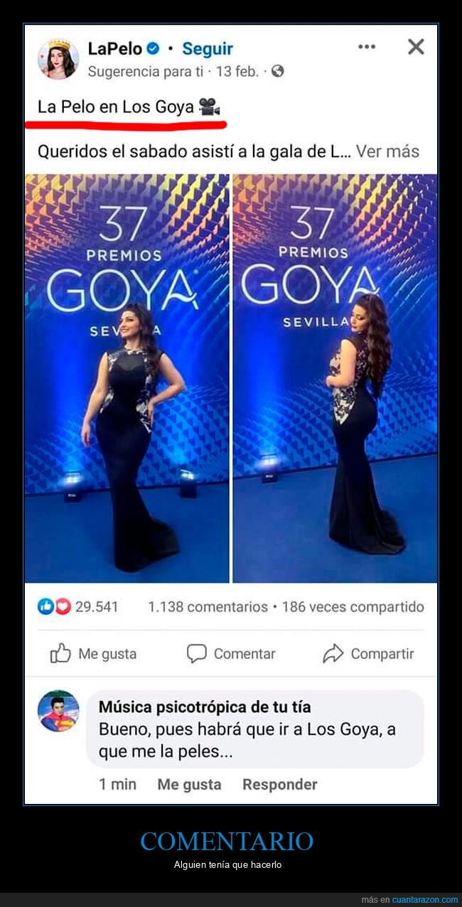 la pelo,goya,comentario