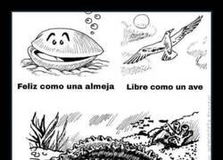 Enlace a Distintos estados de ánimo