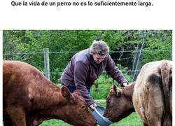 Enlace a Duras verdades que pueden ser difíciles de aceptar