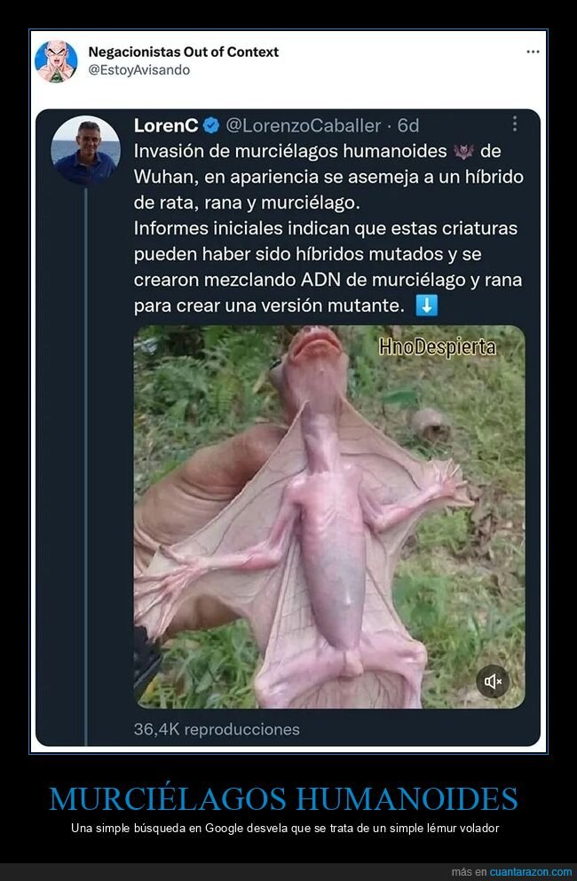 conspiranoicos,híbrido,lémur,murciélagos