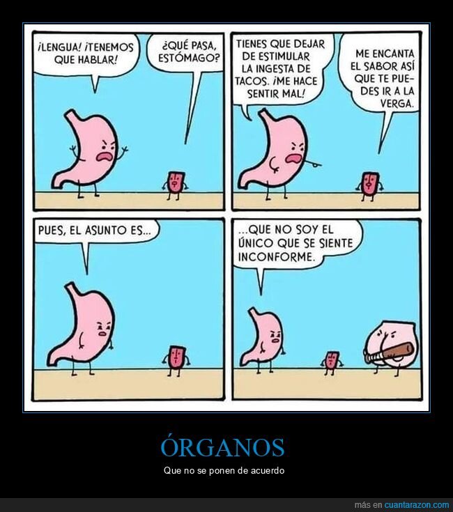 estómago,lengua,culo,tacos